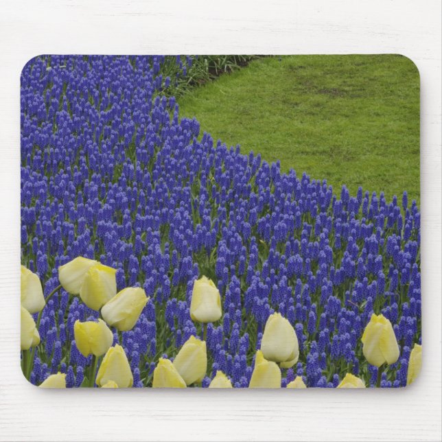 Garden pattern of Grape Hyacinth flowers and 2 Mouse Mat (Front)