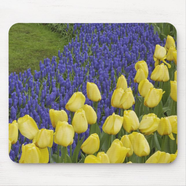 Garden pattern of Grape Hyacinth flowers and Mouse Mat (Front)