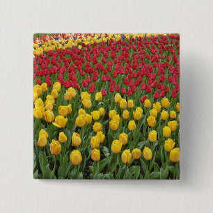 Garden pattern of tulips, Keukenhof Gardens, 2 15 Cm Square Badge