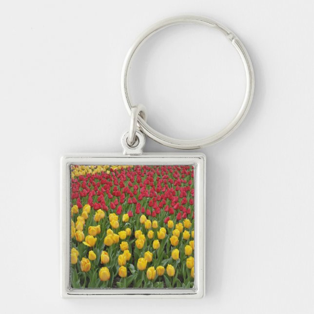 Garden pattern of tulips, Keukenhof Gardens, 2 Key Ring (Front)