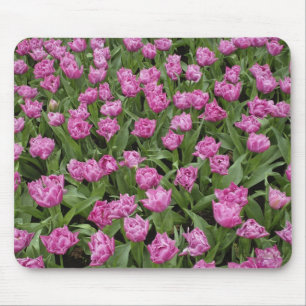 Garden pattern of tulips, Keukenhof Gardens, Mouse Mat
