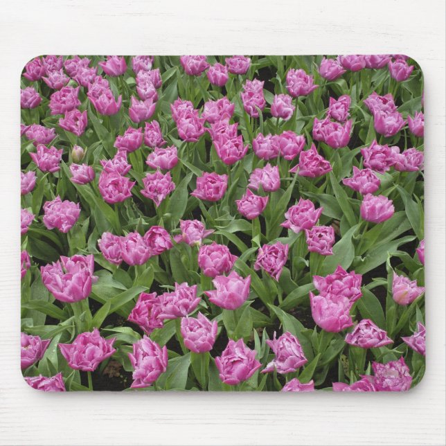 Garden pattern of tulips, Keukenhof Gardens, Mouse Mat (Front)