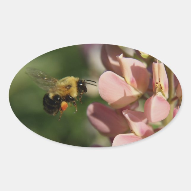 Garden Photo Oval Sticker (Front)