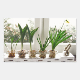Garden Photo Rectangular Sticker
