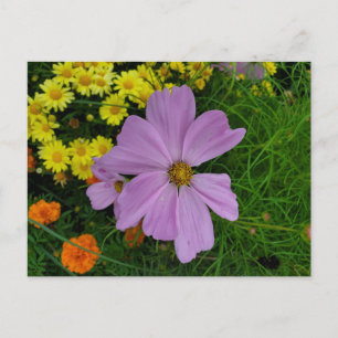 Garden Postcard