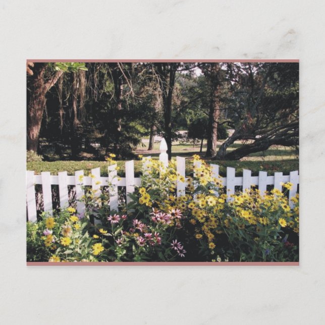 garden postcard (Front)
