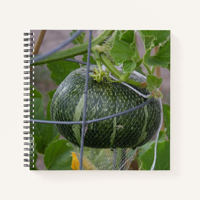Garden Pumpkin Notebook (Front)