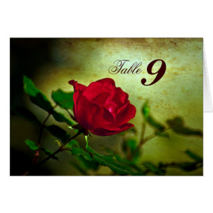 garden red rose steampunk gothic wedding