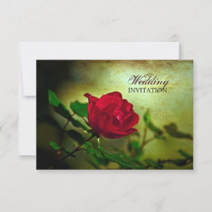 garden red rose steampunk gothic wedding invitation