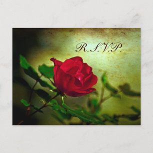 garden red rose steampunk gothic wedding invitation postcard