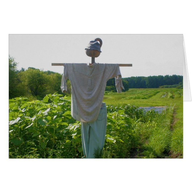 Garden Scarecrow Nature Photography Card (Front Horizontal)