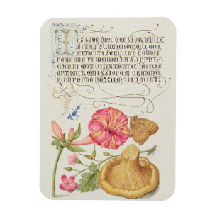 Garden Scene with Flowers, Butterfly and Mushroom Magnet