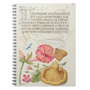 Garden Scene with Flowers, Butterfly and Mushroom Notebook