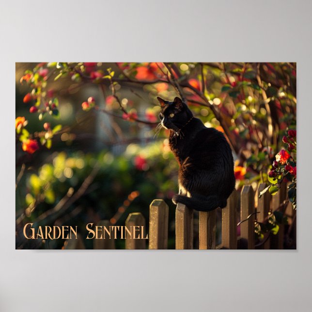 Garden Sentinel: Black Cat in Bloom Poster (Front)