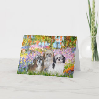 Garden - Shih Tzus (three) Card