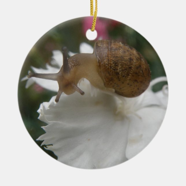 Garden Snail and White Carnation Custom Birthday Ceramic Tree Decoration (Front)