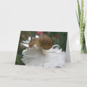 Garden Snail and White Carnation Greeting Card