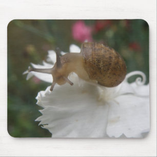 Garden Snail and White Carnation Mousepad
