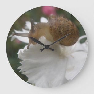 Garden Snail and White Carnation Wall Clock
