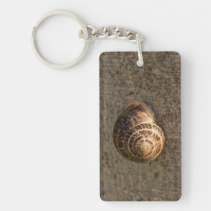 Garden Snail Nature Photography Key Ring