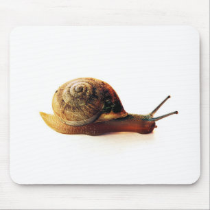 Garden Snail Nature Photography Mouse Mat