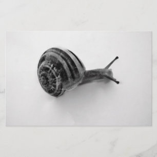 Garden Snail Nature Photography Stationery