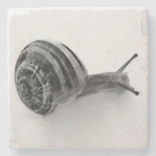 Garden Snail Nature Photography Stone Coaster