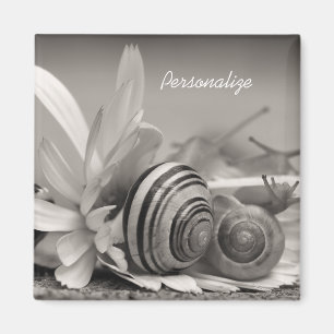 Garden Snails On Daisy Flower With Name Magnet