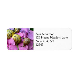 Garden Snails on Pink Flowers