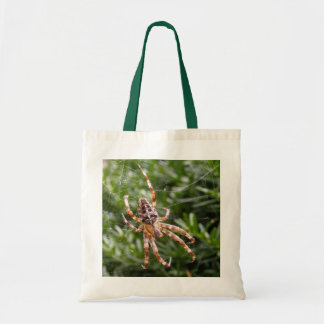 Garden Spider ~ bag