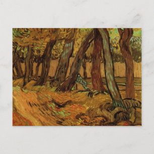 Garden St Paul Hospital Figure by Vincent van Gogh Postcard