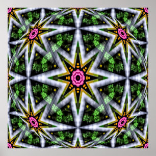Garden Star Ball... Poster