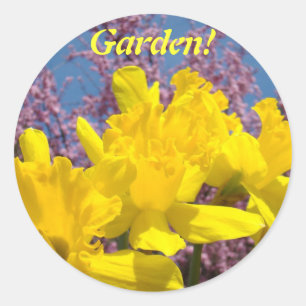 Garden! stickers Yellow Daffodil Flowers Spring
