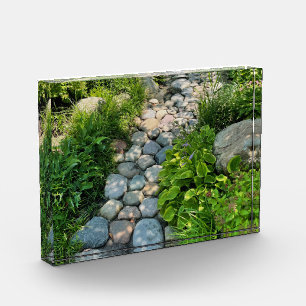 Garden stone path nature core life photo block