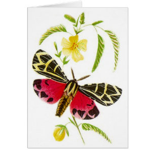 Garden Tiger Moth & Floral Design! GARDEN CARD