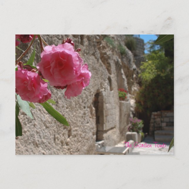 Garden Tomb Jeruselum Isreal Postcard (Front)