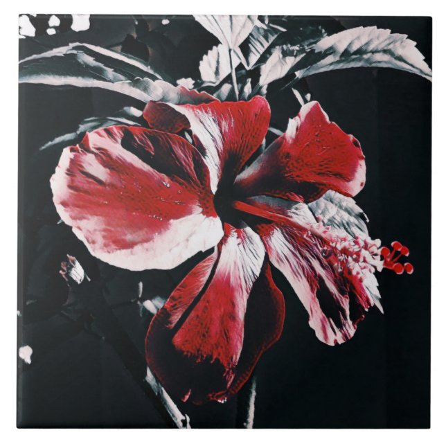 Garden Tropical Hibiscus Artwork Tile (Front)