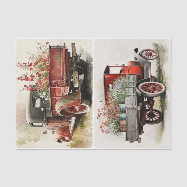 Garden Trucks  Tissue Paper (Front)