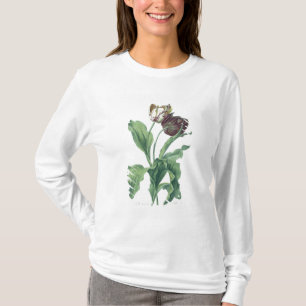 Garden Tulip, from 'Opera Botanica', engraved by L T-Shirt