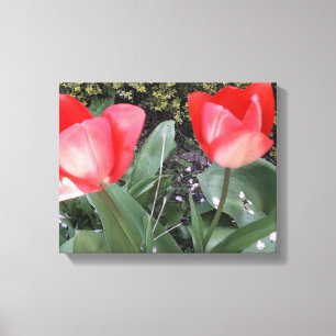 Garden tulips canvas print