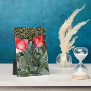 Garden tulips plaque