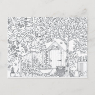 garden two sided adult colouring postcard gift
