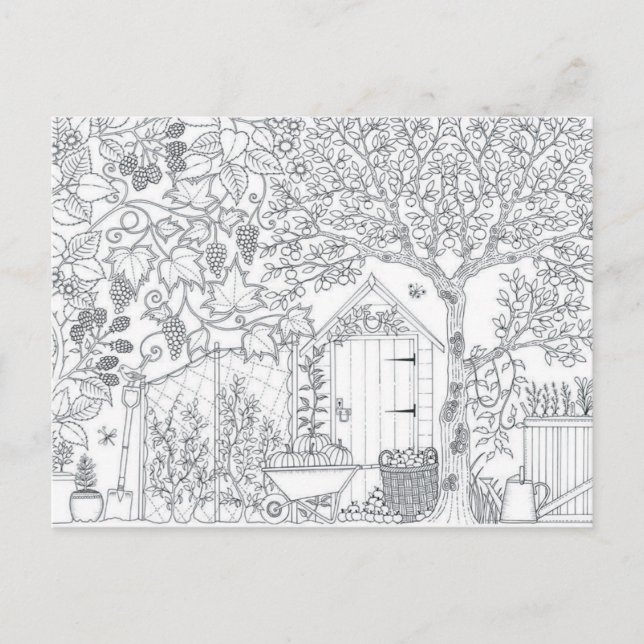 garden two sided adult colouring postcard gift (Front)