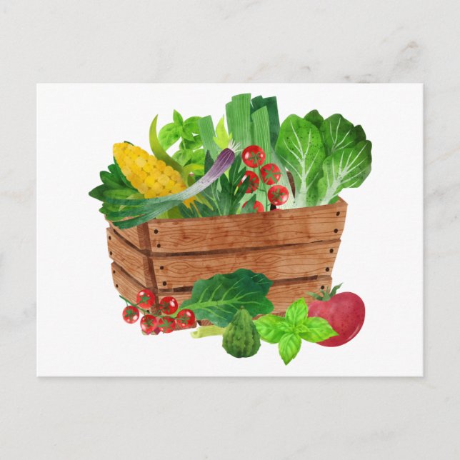 Garden Vegetable Harvest Basket Postcard (Front)