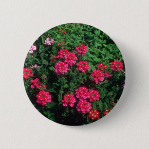 Garden Verbena (Verbena Hybrida) flowers 6 Cm Round Badge
