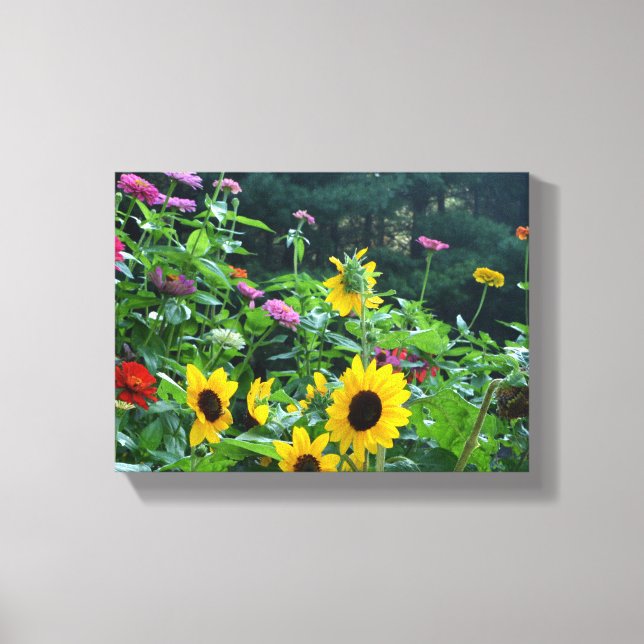 Garden View, daisies, cosmos, sunflowers, mums Canvas Print (Front)