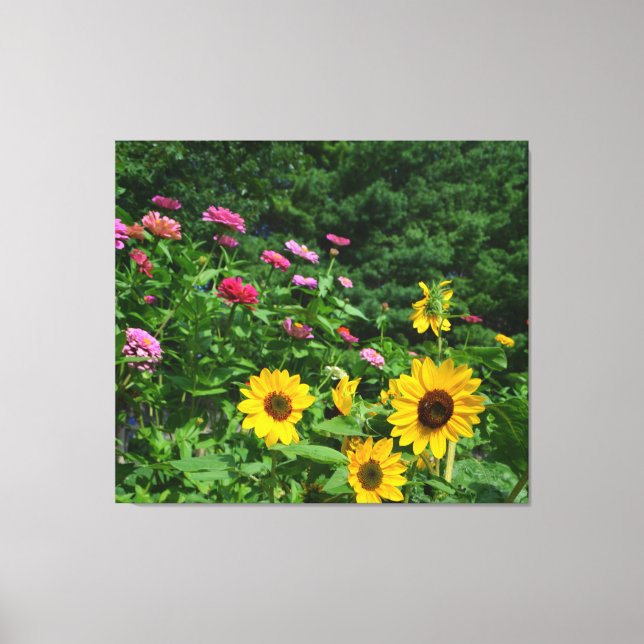 Garden View floral garden, daisies, sunflowers Canvas Print (Front)