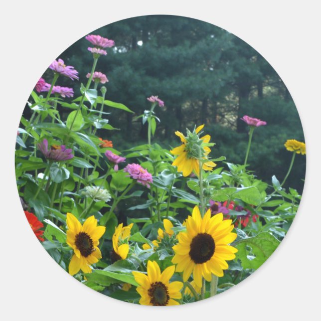 Garden View- sunflower, daisies, cosmos Classic Round Sticker (Front)