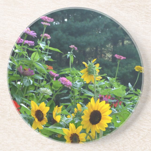 Garden View- sunflower, daisies, cosmos Coaster (Front)