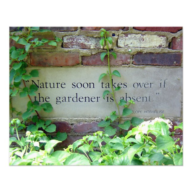 Garden Weeding Wisdom at Inniswood Park Photo Print (Front)